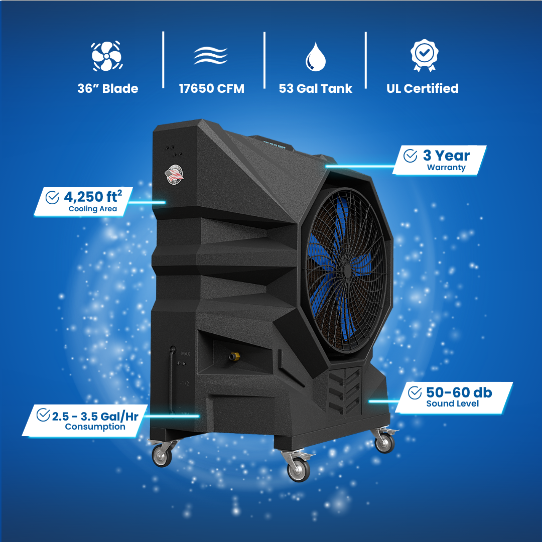 Polar-Jet 36